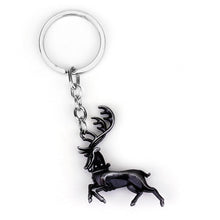 Load image into Gallery viewer, Keyring